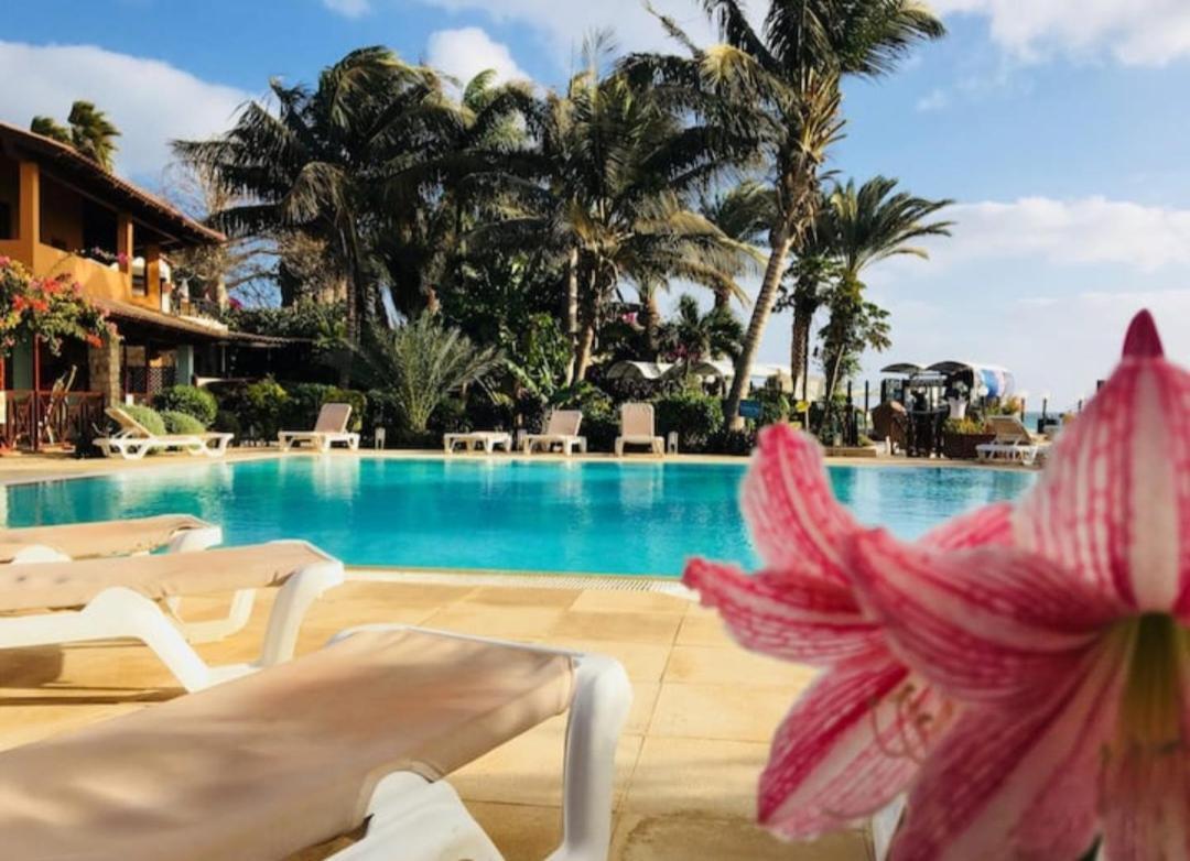 Beach Front Ocean View Porto Antigo2 Санта-Марія Екстер'єр фото